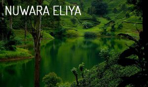 nuwara eliya - jk tours lanka most beautiful places to visit in sri lanka