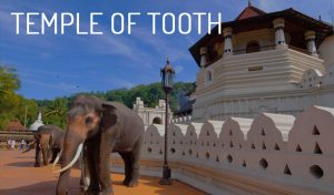 Temple of the Tooth - jk tours lanka most beautiful places to visit in sri lanka