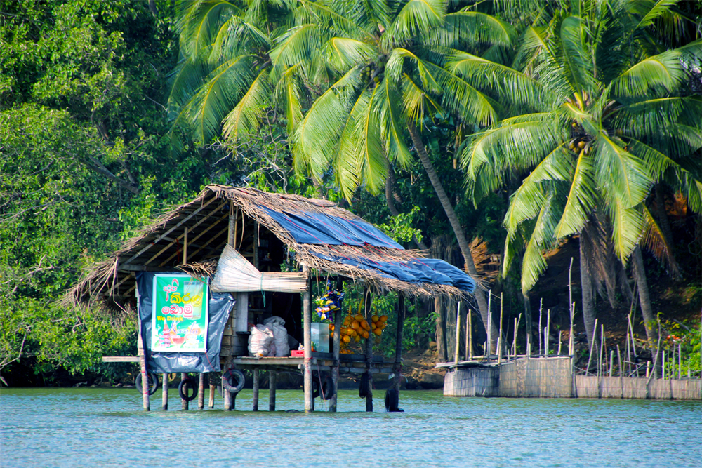 Madu Ganga in Sri Lanka